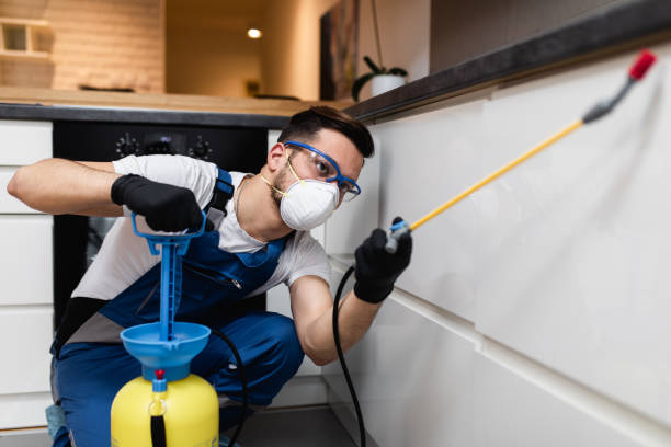 Best Best Pest Control Near Me  in Hobart, OK