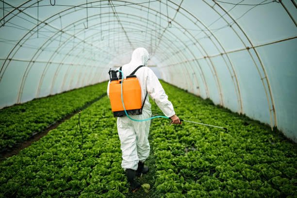 Pest Control Cost in Hobart, OK