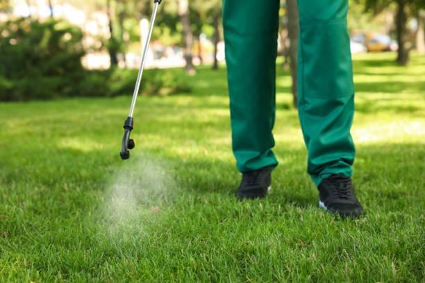 Best Affordable Pest Control Services  in Hobart, OK