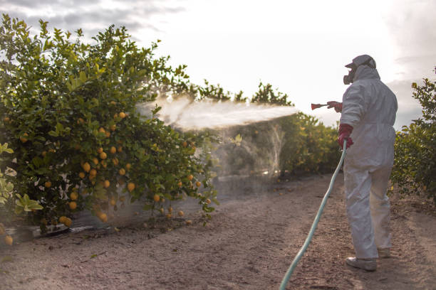 Best Pest Control Cost  in Hobart, OK