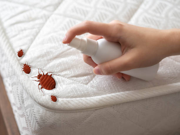 Professional Pest Control in Hobart, OK