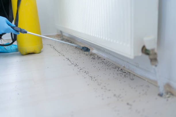 Best Pest Control Near Me in Hobart, OK